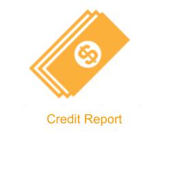 Licensed-Moneylender-Credit-Report